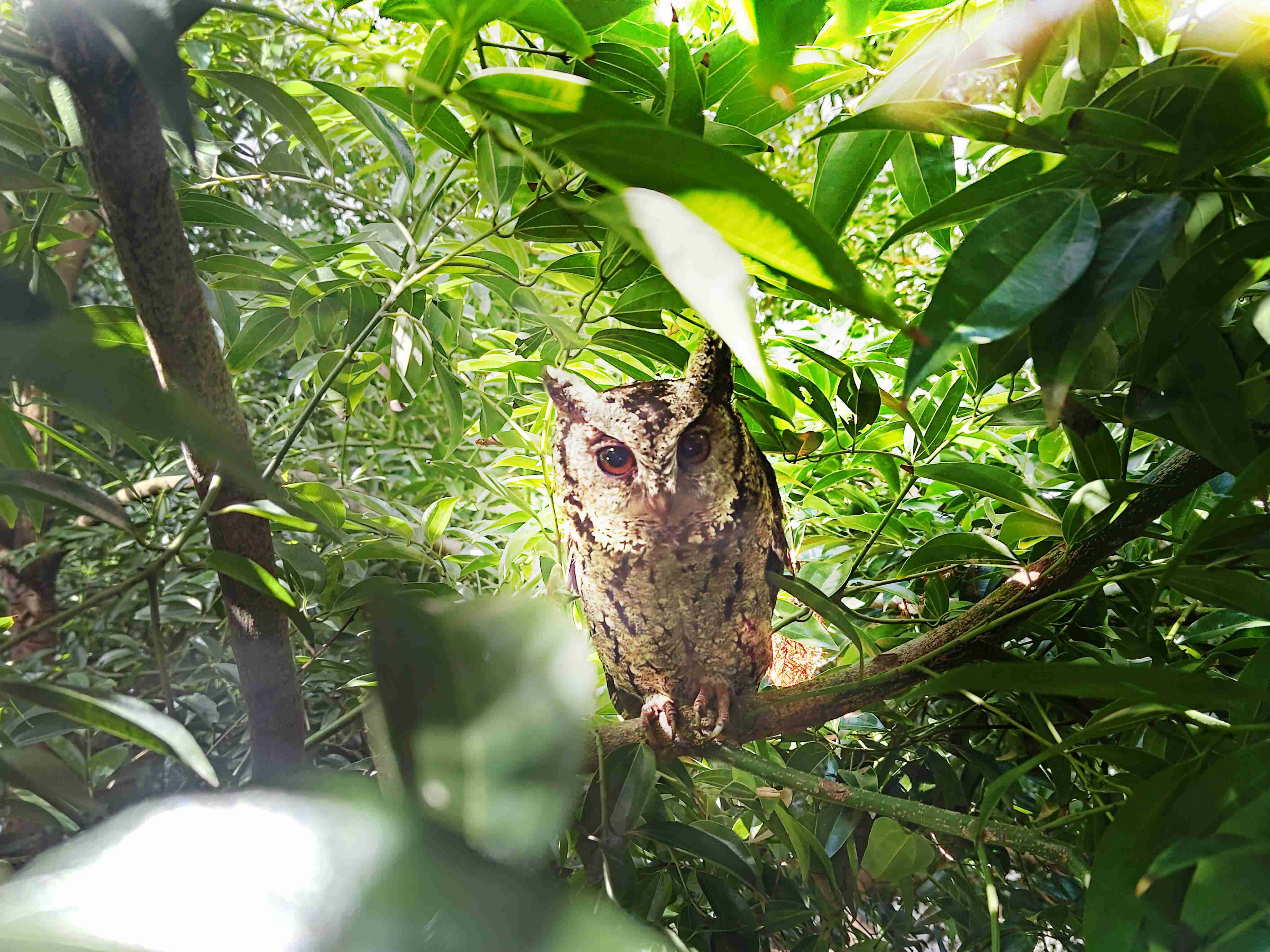 壹号平台致力提倡净零绿生活，，，，16年以来在全球各厂区植树逾百万棵，，造就各厂区树木蔚然成林，，，犹如森林工厂，，成为许多生物的栖息地